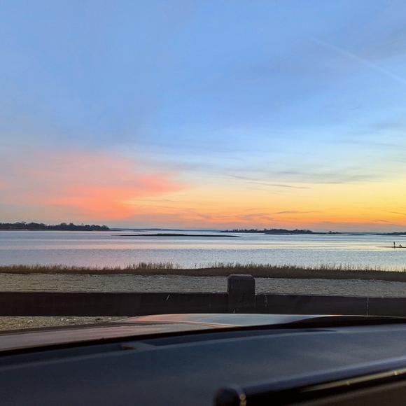 Meet your Posher, Fancy Nancy - Picture 1 of 1